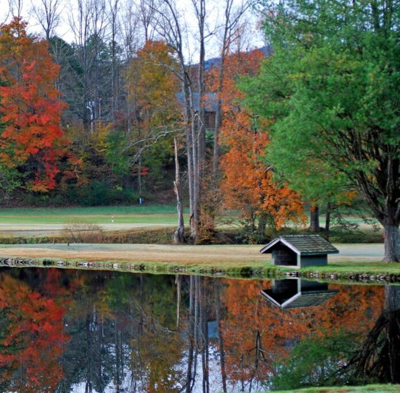 Peace, Serenity & Relaxation In The Smokies! Gatlinburg Ngoại thất bức ảnh