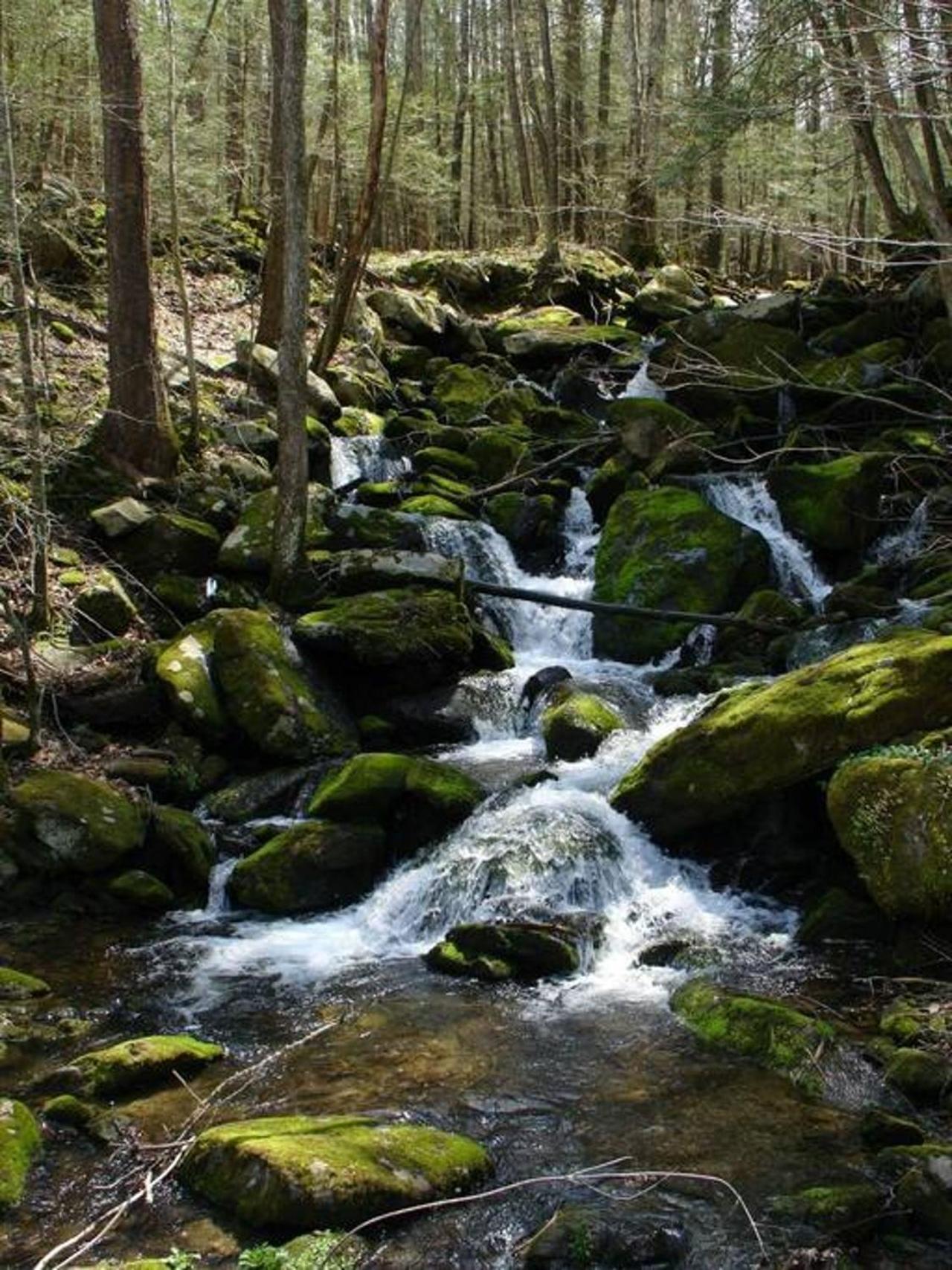 Peace, Serenity & Relaxation In The Smokies! Gatlinburg Ngoại thất bức ảnh