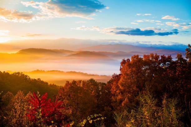 Peace, Serenity & Relaxation In The Smokies! Gatlinburg Ngoại thất bức ảnh